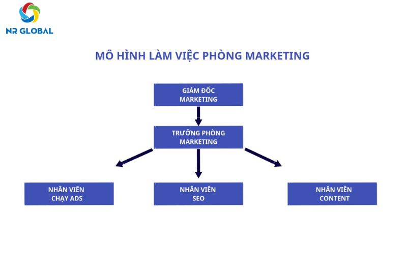 Quy trình Xây dựng phòng Marketing tại